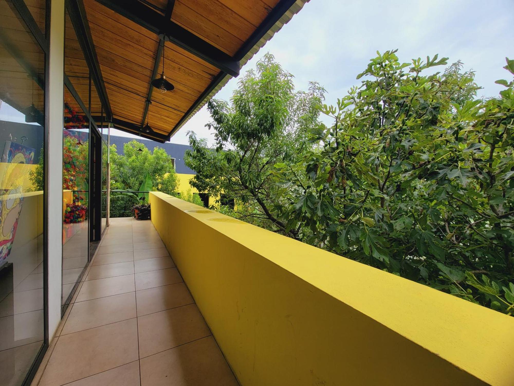 ホテル Jardines De Luz San Cristóbal de Las Casas エクステリア 写真