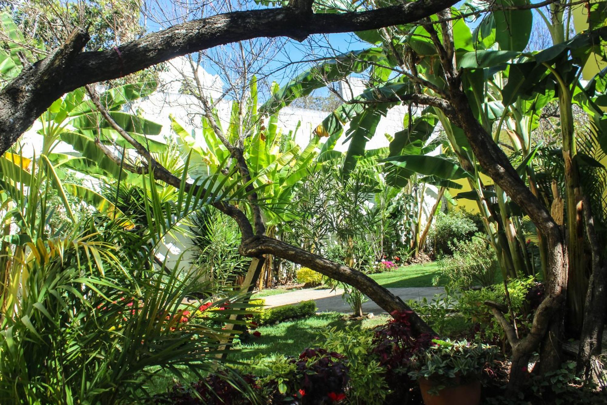 ホテル Jardines De Luz San Cristóbal de Las Casas エクステリア 写真