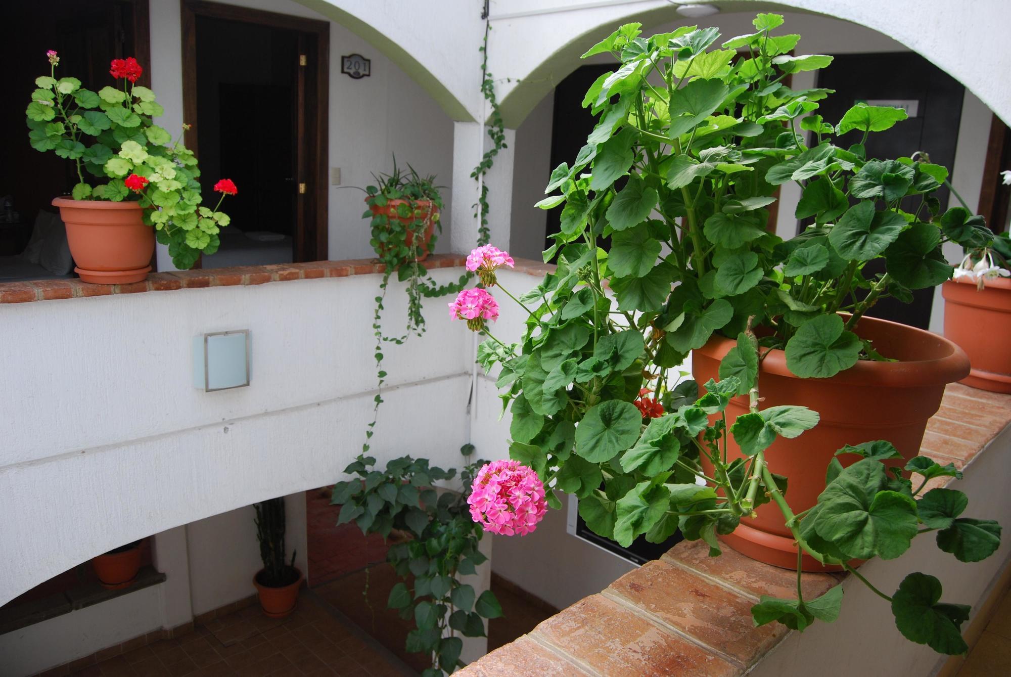 ホテル Jardines De Luz San Cristóbal de Las Casas エクステリア 写真